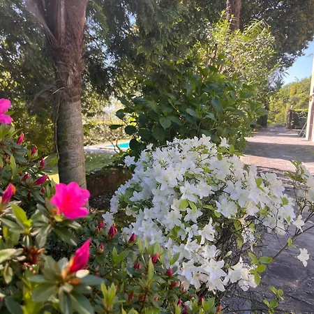 Apartman Santa Chiara - Vista Con Piscina